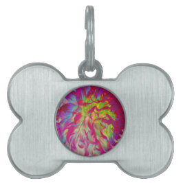 Psychedelic Magenta und Yellow Dahlia Blume Tiermarke