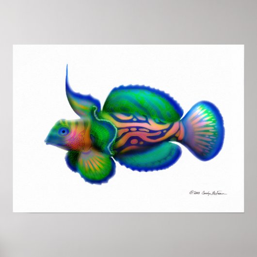 Psychedelic Mandarin Fish Poster (Vorne)