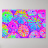 Psychedelic Urchins Poster (Vorne)