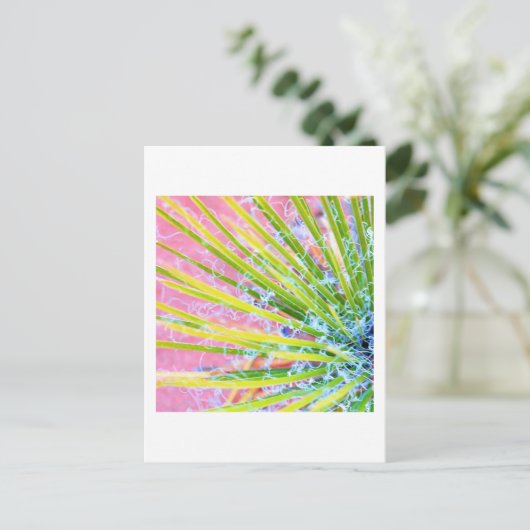Psychedelic Yucca Postkarte (Stehend Vorderseite)