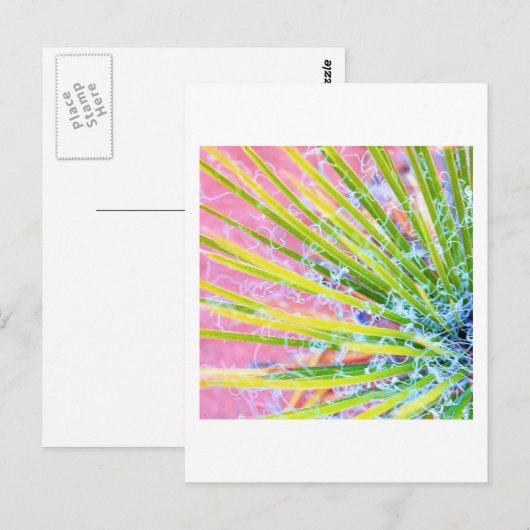 Psychedelic Yucca Postkarte (Vorne/Hinten)