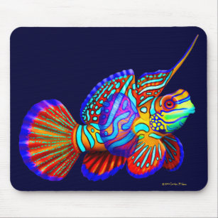 Psychedelische Mandarinegoby-Fische Mousepad