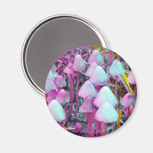 Psychedelische Pilze Magnet (Vorderseite/Rückseite)