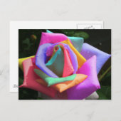 Psychedelische RegenbogenRose Postkarte (Vorne/Hinten)