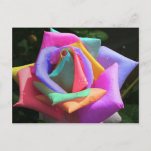Psychedelische RegenbogenRose Postkarte