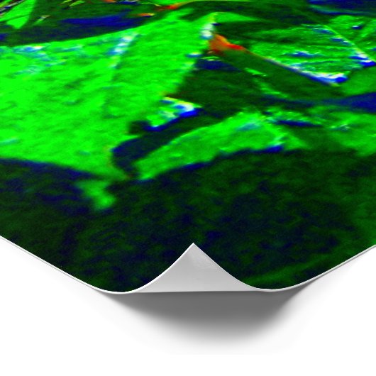 Psychedelische Rose Garden Poster (Ecke)