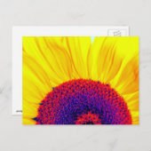 psychedelische Sonnenblume Postkarte (Vorne/Hinten)