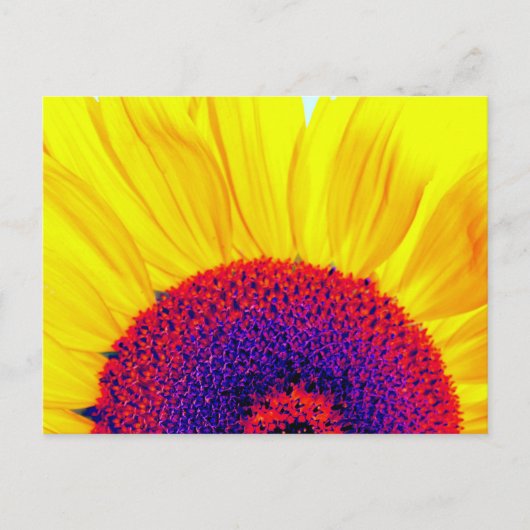 psychedelische Sonnenblume Postkarte (Vorderseite)