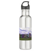 Psychedelische Steine Edelstahlflasche (Vorderseite)