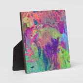 Psychedelischer Fisch Fotoplatte (Vorderseite)