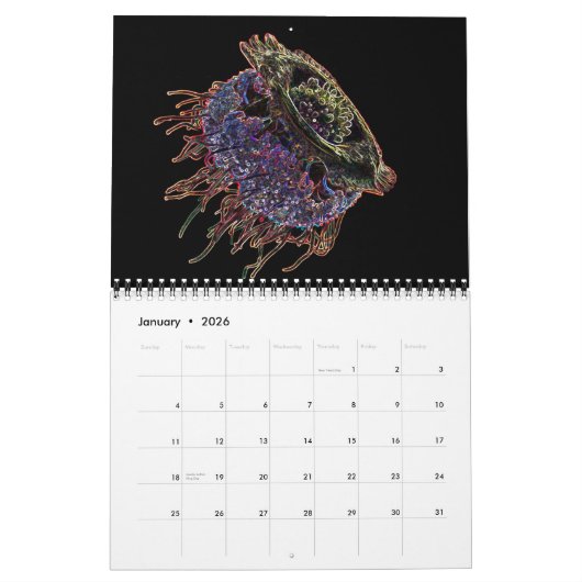Psychedelischer Neon Jellyfish Kalender 2 (Jan 2026)
