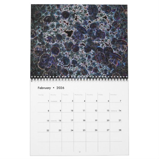 Psychedelischer Neon Jellyfish Kalender 3 (Feb 2026)
