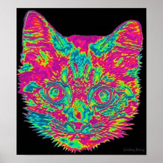 Psychedelisches Katzenposter Poster (Vorne)