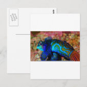 Psychodelische Fische Postkarte (Vorne/Hinten)