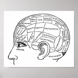 Psychologie Vintage Phrenologie Psychiatrie Gehirn Poster