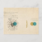 Psychology Postkarte (Vorderseite)