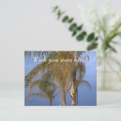 Pt. Pleasant NJ Wish Sie waren hier! Palmen Postkarte (Stehend Vorderseite)