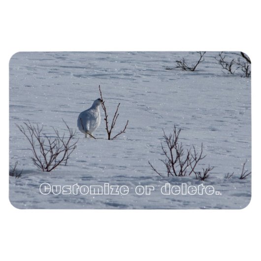 Ptarmigan-Snacking; individuell einstellbar Magnet (Horizontal)