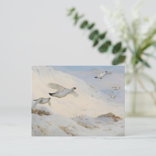 Ptarmigan stürzt im Winter ab und fliegt über den  Postkarte (Stehend Vorderseite)