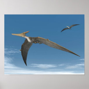 Pteranodon-Dinosaurier fliegen - 3D-Darstellung Poster