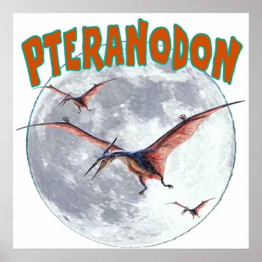 Pteranodon-Dinosaurier Poster (Vorne)