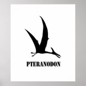 Pteranodon Poster (Vorne)
