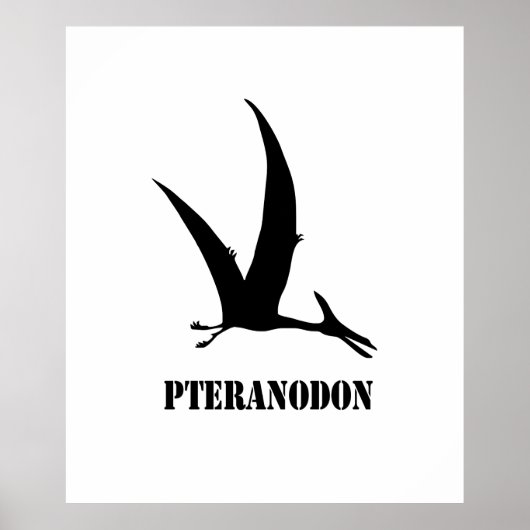 Pteranodon Poster (Vorne)