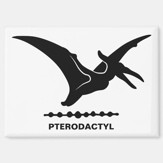 Pterodactyl Dinosaur Silhouette Magnet (Vorderseite)