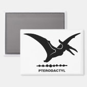 Pterodactyl Dinosaur Silhouette Magnet (Vorderseite/Rückseite)