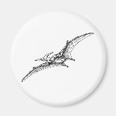 Pterodactyl Magnet (Vorne)
