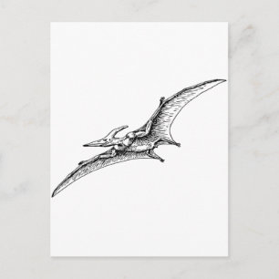Pterodactyl Postkarte