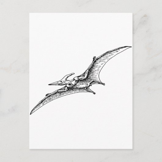 Pterodactyl Postkarte (Vorderseite)