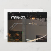 Pterodactyl Postkarte (Vorne/Hinten)