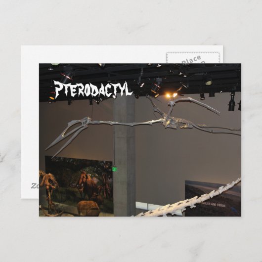 Pterodactyl Postkarte (Vorne/Hinten)
