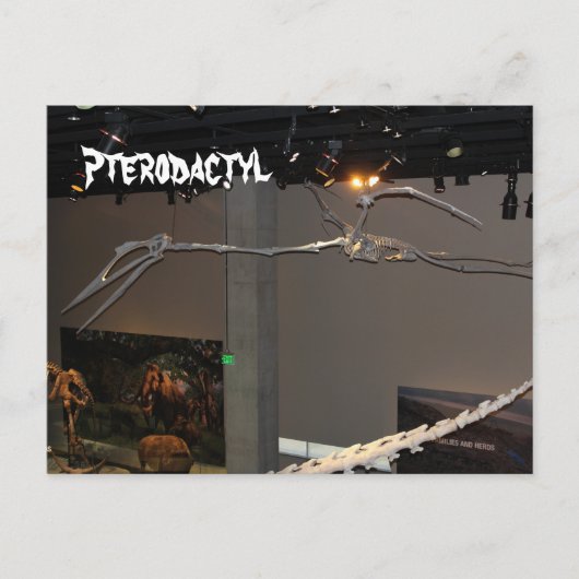 Pterodactyl Postkarte (Vorderseite)
