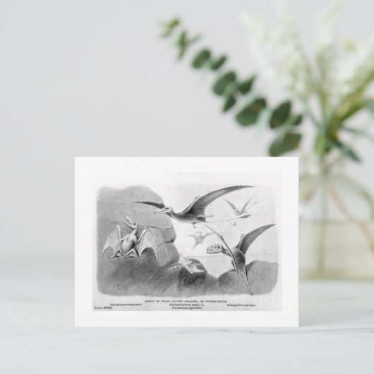 Pterodactylus Art Postcard Postkarte (Stehend Vorderseite)