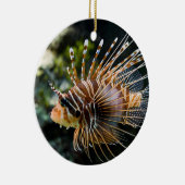 Pterois Antennata Broadbarred Firefish Lionfish Keramikornament (Rechts)