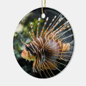 Pterois Antennata Broadbarred Firefish Lionfish Keramikornament (Links)