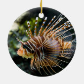 Pterois Antennata Broadbarred Firefish Lionfish Keramikornament (Hinten)