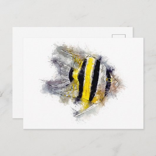 Pterophyllum AngelFisch Aquarium Geschenk Postkarte (Vorne/Hinten)