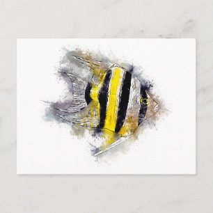 Pterophyllum AngelFisch Aquarium Geschenk Postkarte