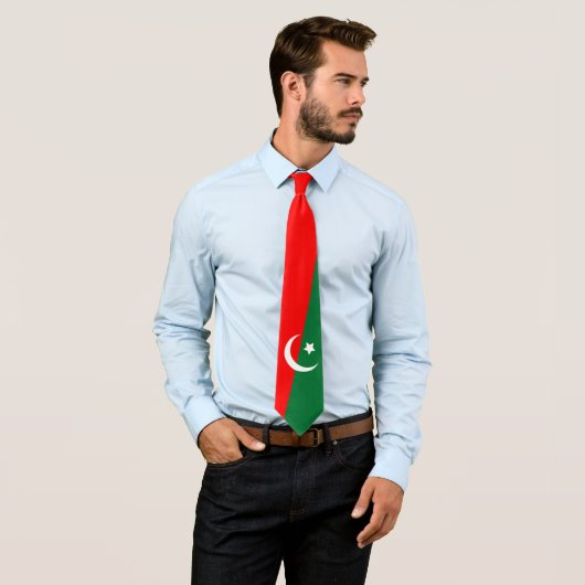 PTI Flag Men's Necktie Krawatte (Beispiel)