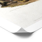 Ptihn-Tak-Ochata, Dance of the Mandan Women, plate Poster (Ecke)