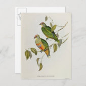 Ptilinopus Ewingii Postkarte (Vorne/Hinten)