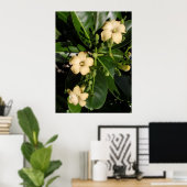 Puakenikeni Poster (Heimbüro)