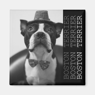 Pucca Magnets B Magnet