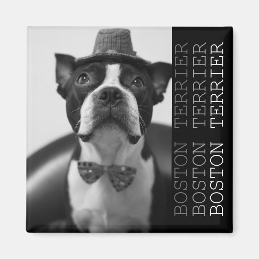 Pucca Magnets B Magnet (Vorne)