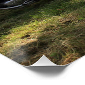 Puch Haflinger Poster (Ecke)