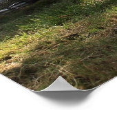 Puch Haflinger Poster (Ecke)