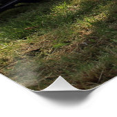 Puch Haflinger Poster (Ecke)